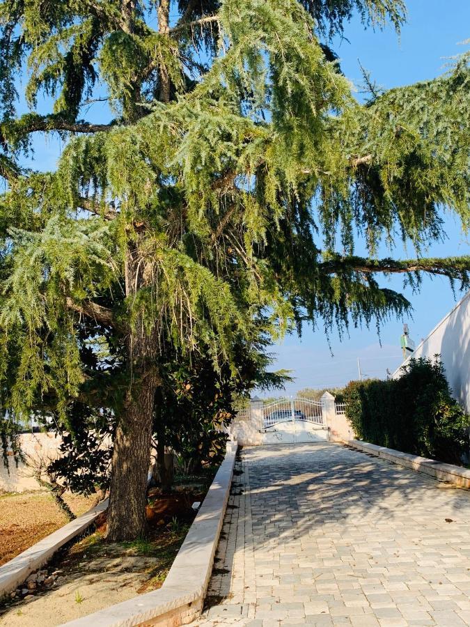 Trullo Labellavita Putignano Εξωτερικό φωτογραφία